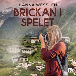 Brickan i spelet