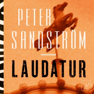 Laudatur: Roman