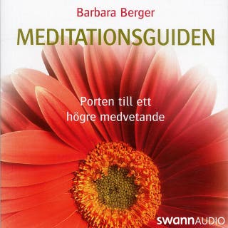 Meditationsguiden: Porten till ett högre medvetande