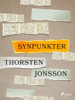 Synpunkter