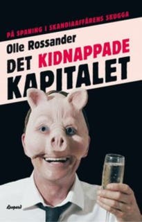 Det kidnappade kapitalet : på spaning i Skandiaaffärens skugga
