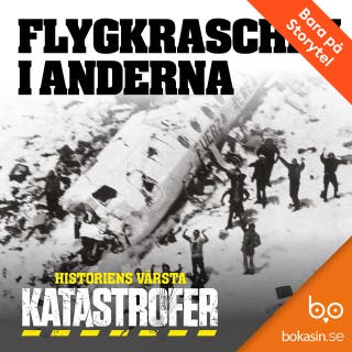Flygkraschen i Anderna
