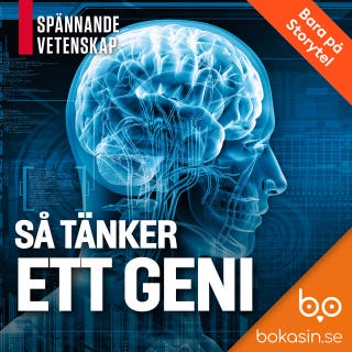 Så tänker ett geni