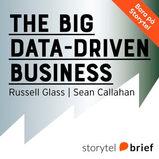 The big data-driven business - Så använder du big data för att hitta kunder, vinnna över konkurrenter och öka din vinst