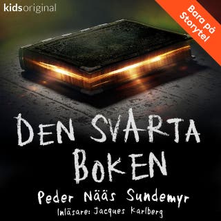 Del 4 – Den svarta boken