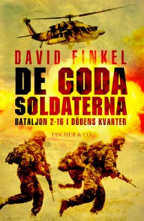 De goda soldaterna - bataljon 2-16 i dödens kvarter
