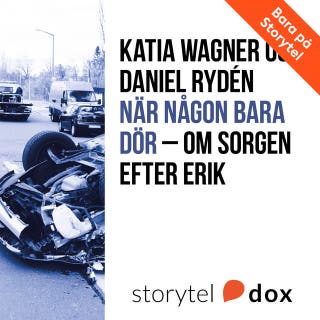 När någon bara dör - Om sorgen efter Erik