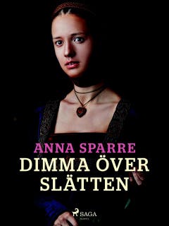 Dimma över slätten