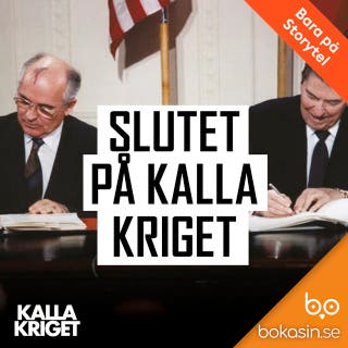 Slutet på kalla kriget