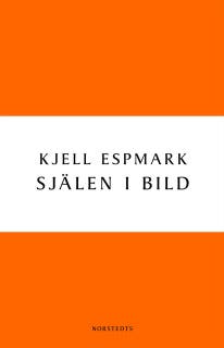 Själen i bild : en huvudlinje i modern svensk poesi