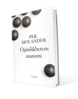 Ojämlikhetens anatomi