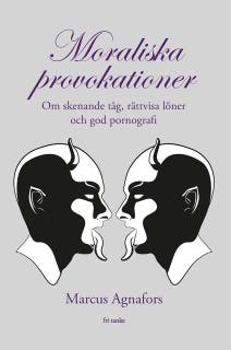Moraliska provokationer : Om skenande tåg, tiggeriförbud och god pornografi