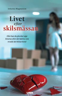 Livet efter skilsmässan : eller hur du plockar upp bitarna efter det hjärta som trodde det hittat hem!