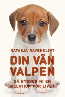 Din vän valpen : så bygger ni en relation för livet