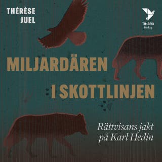 Miljardären i skottlinjen : Rättvisans jakt på Karl Hedin