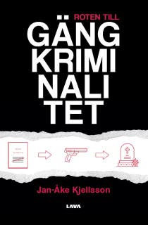 Roten till gängkriminalitet