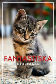 Fantastiska djurfakta