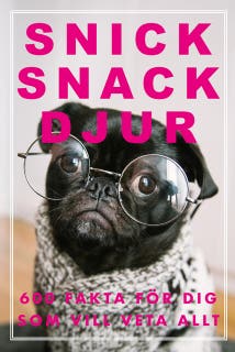 Snick Snack Djur