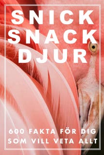 Snick Snack Djur 2