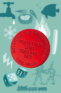 Polletten som trillade ner : Metaforer - hur förstår vi dem?