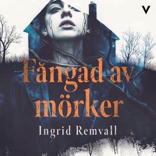 Fångad av mörker