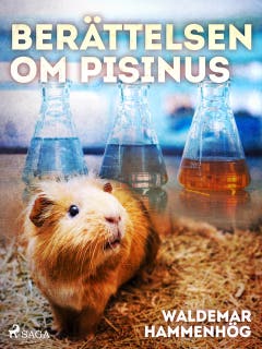 Berättelsen om Pisinus