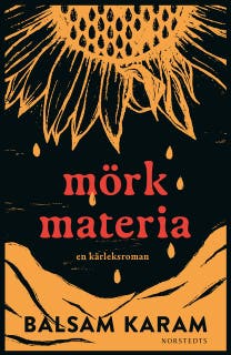 Mörk materia : En kärleksroman