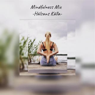 Mindfulness Mix : Hälsans Källa