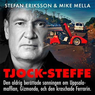 TJOCK-STEFFE : Sanningen om Uppsalamaffian, Gizmondo och den kraschade Ferrarin