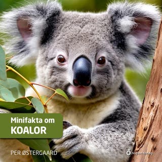 Minifakta om koalor