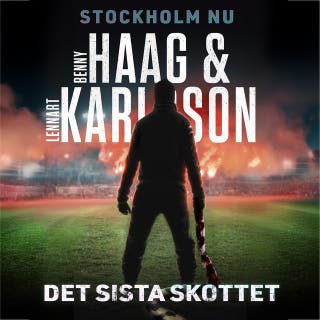 Det sista skottet