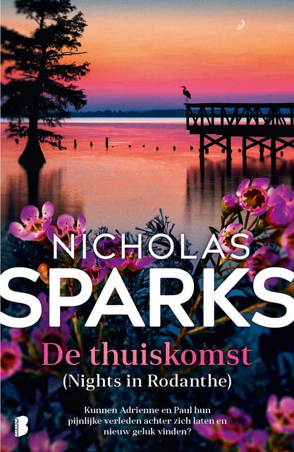 De thuiskomst: (Nights in Rodanthe) Kunnen Adrienne en Paul hun pijnlijke verleden achter zich laten en nieuw geluk vinden?