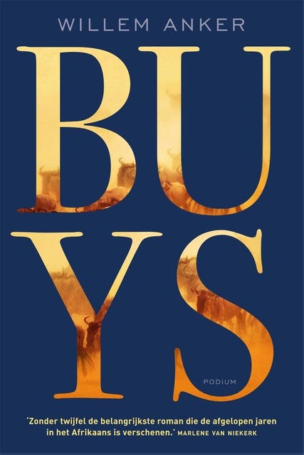 Buys: een grensroman