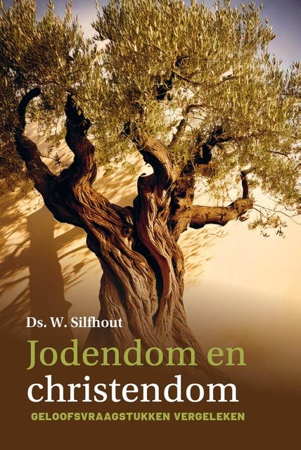 Jodendom en christendom: Geloofsvraagstukken vergeleken