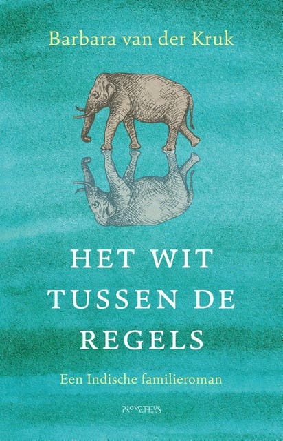Het wit tussen de regels: Een Indische familieroman