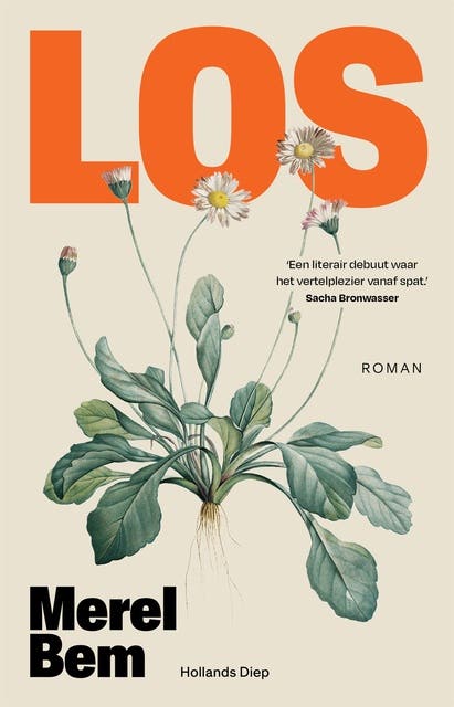 Los