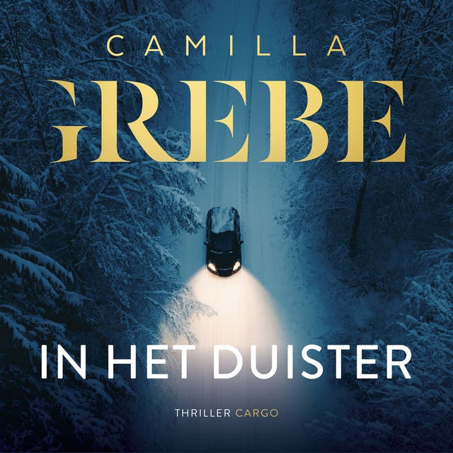 In het duister