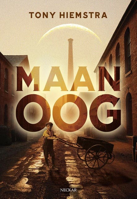 Maanoog