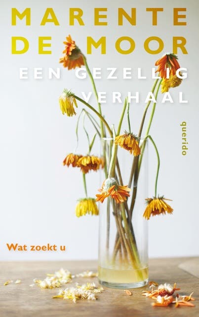 Wat zoekt u