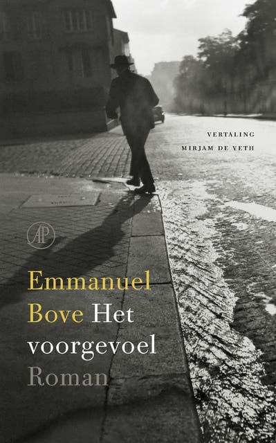Het voorgevoel: roman
