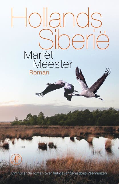 Hollands Siberie: onthullende roman over het gevangenisdorp Veenhuizen