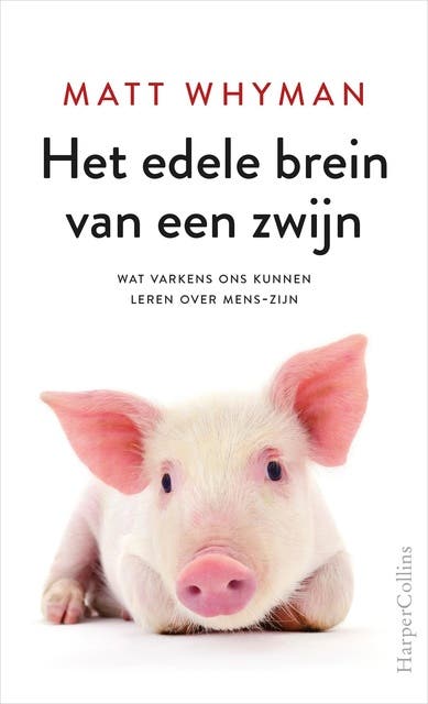 Het edele brein van een zwijn: Wat varkens ons kunnen leren over mens zijn