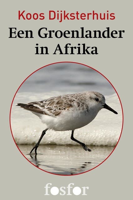 Een Groenlander in Afrika: de wonderbaarlijke reis van de drieteenstrandloper