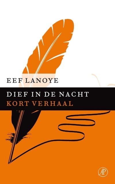 Dief in de nacht