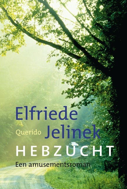 Hebzucht: een amusementsroman