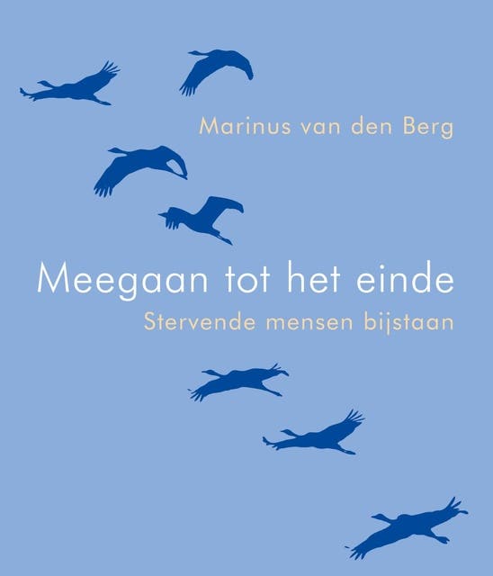Meegaan tot het einde: stervende mensen bijstaan. over de laatste dagen, nachten en uren