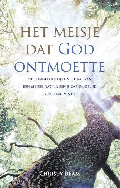 Het meisje dat God ontmoette: het ongelooflijke verhaal van een meisje dat na een bizar ongeluk genezing vindt