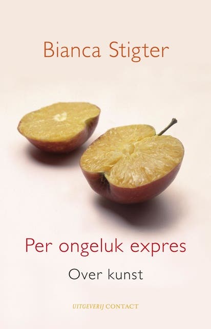 Per ongeluk expres: over kunst