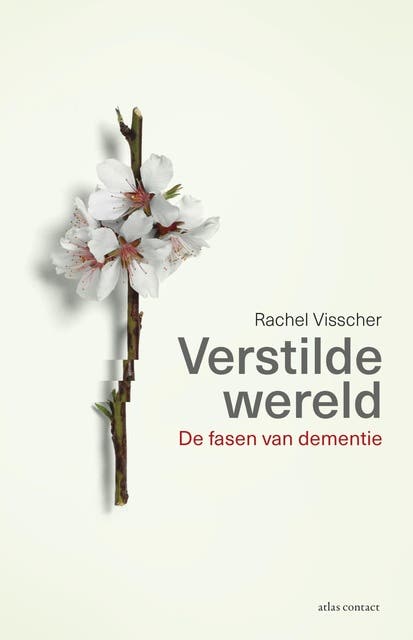 Verstilde wereld: de fasen van dementie