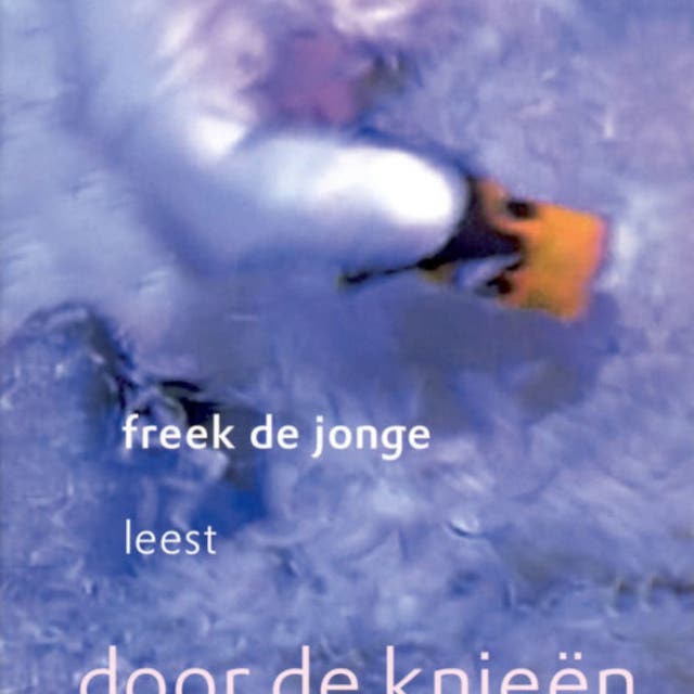 Door de knieën